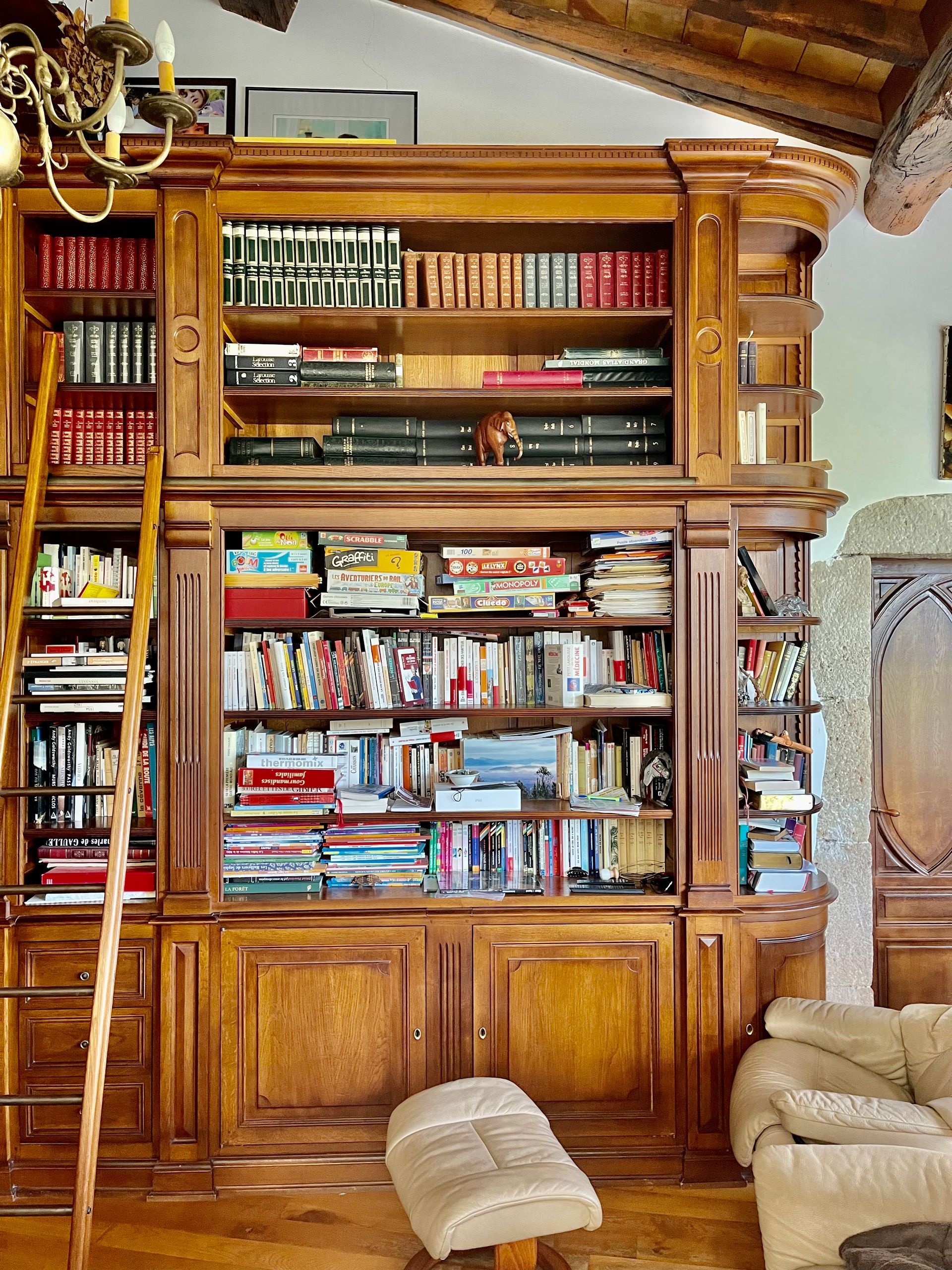 Bibliothèque arbre