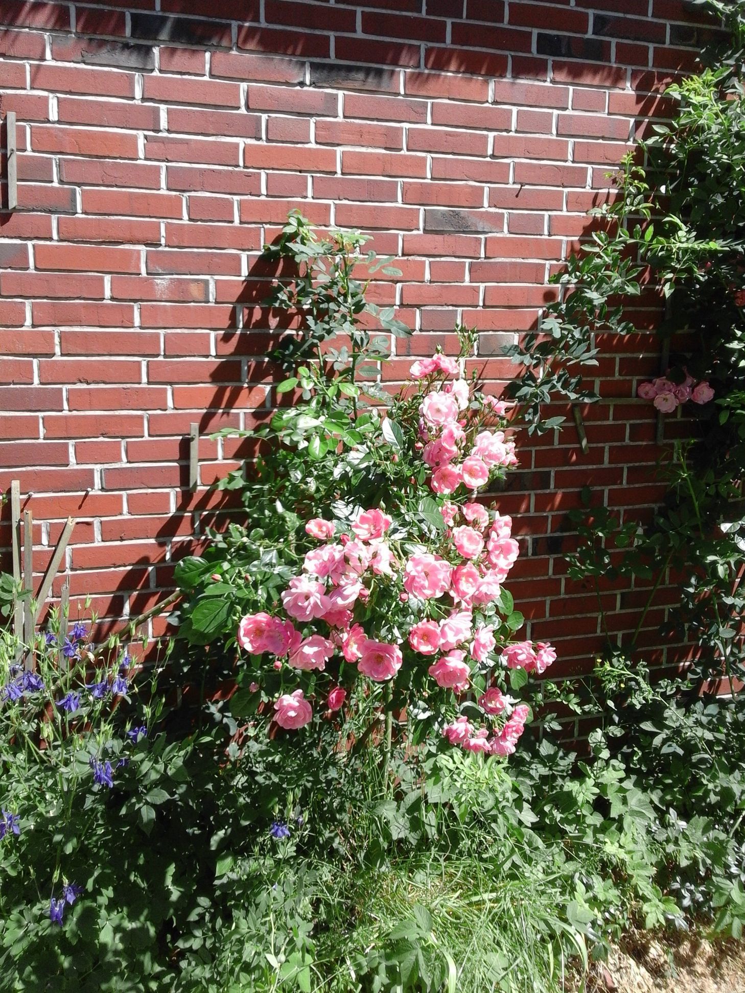 Ferienhaus Nordsee