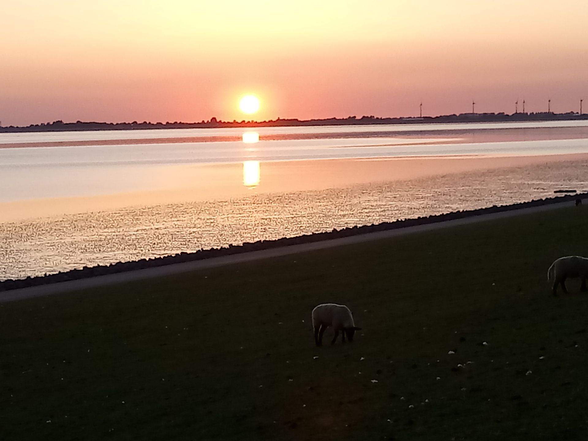 Ferienhaus Nordsee