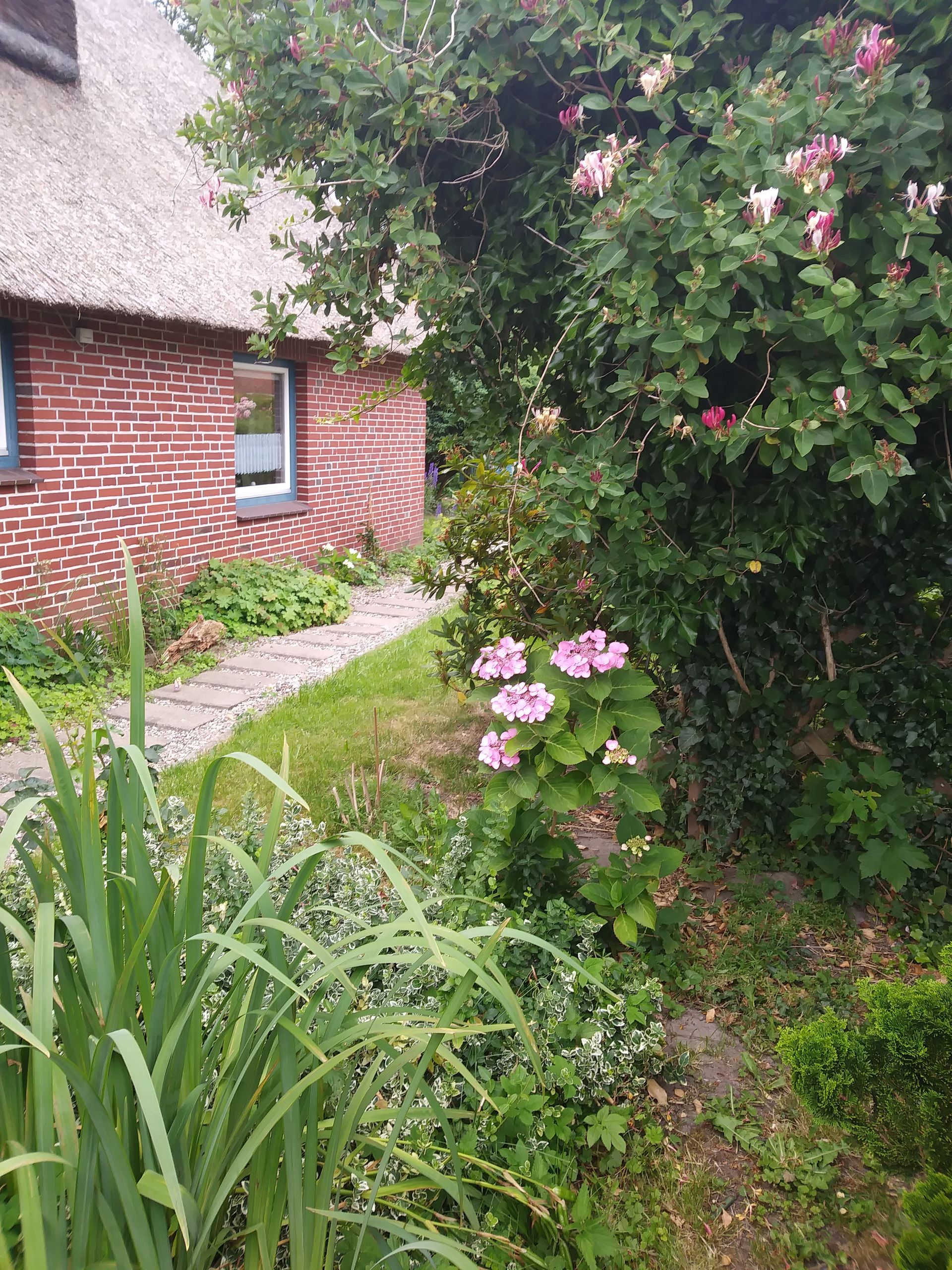 Ferienhaus Nordsee