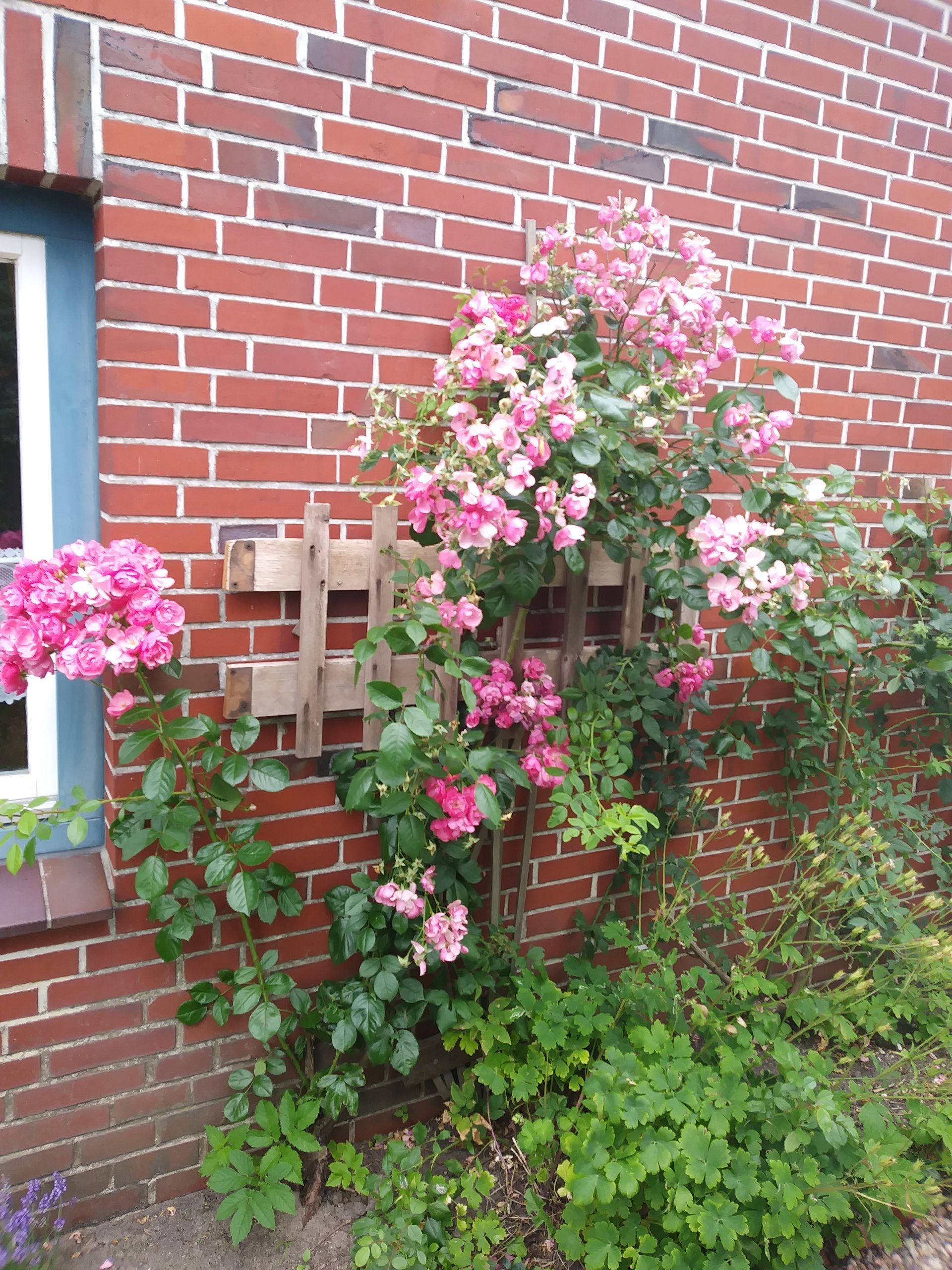 Ferienhaus Nordsee