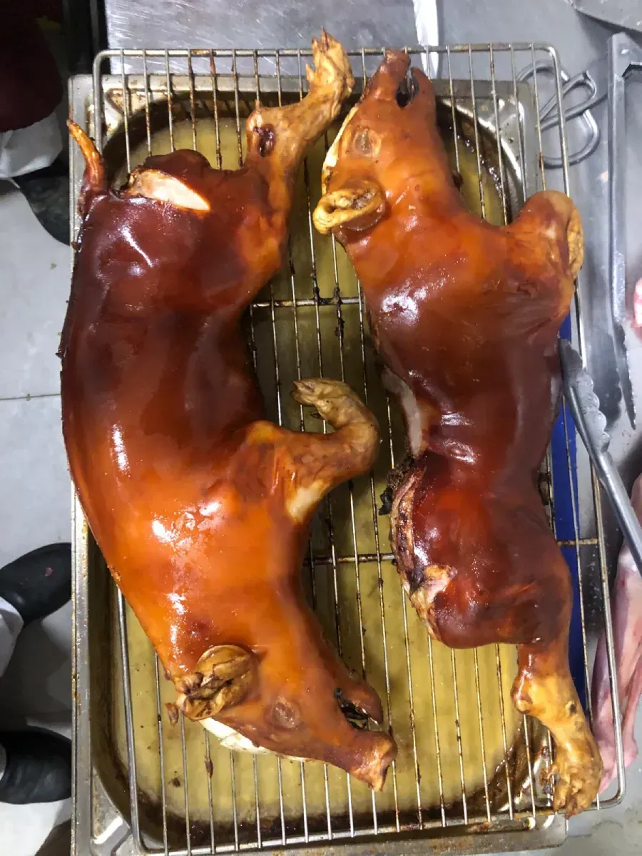 Dos cerdos asados ​​sobre una rejilla metálica en una bandeja, con la piel brillante y dorada.