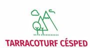 Un logotipo para césped de terracota con una montaña y árboles.
