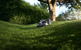 Robot de tonte noir sur une pelouse