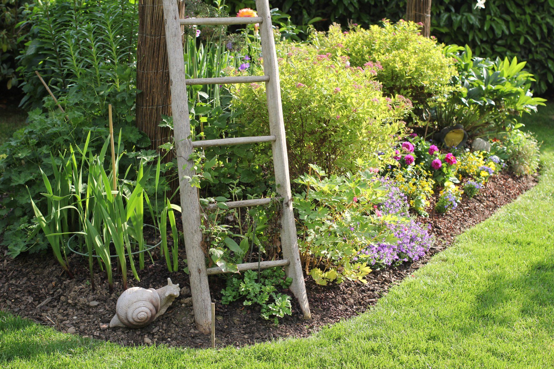 Desherbage de massifs