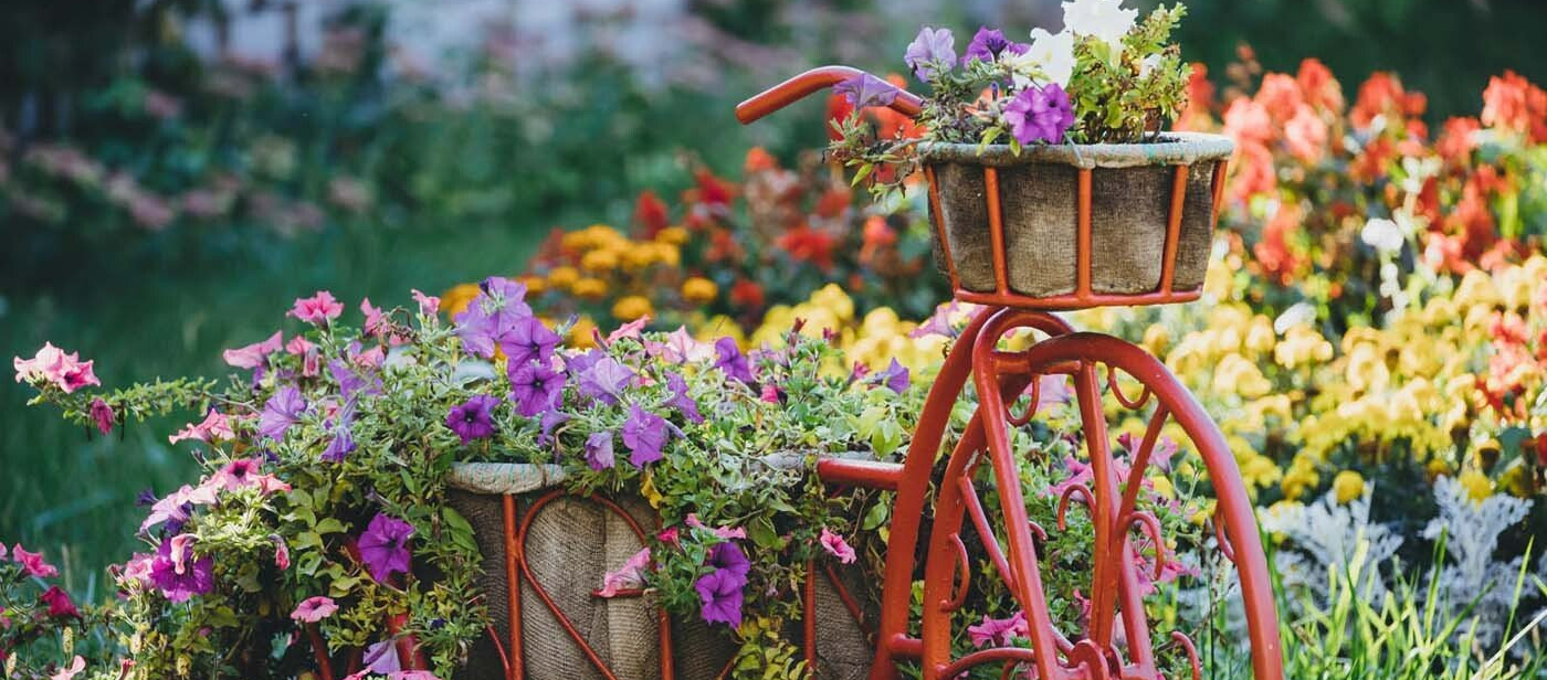 Décoration d'un vélo entouré des fleurs de différentes couleurs