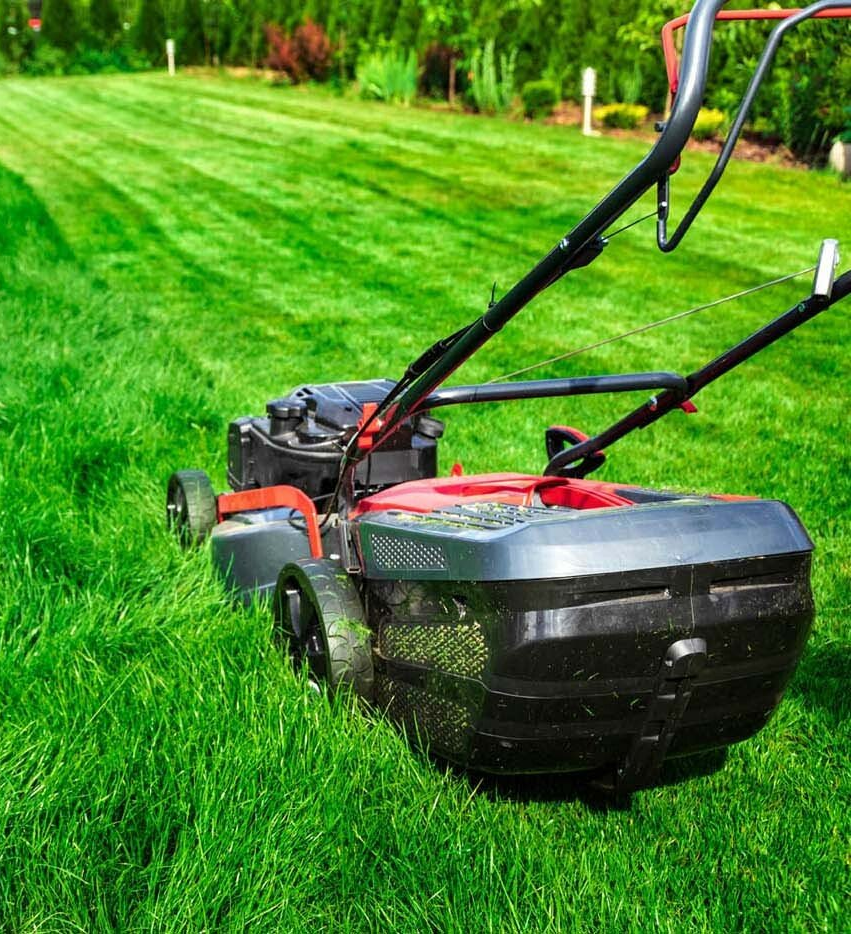 Tonte rouge dans le jardin après avoir coupé la moitié de la pelouse