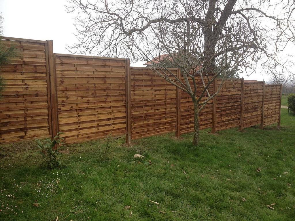 Murs extérieurs en bois derrière un arbre