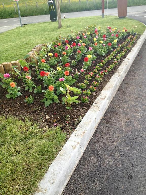 Différentes plantes de plusieurs couleurs récemment plantées