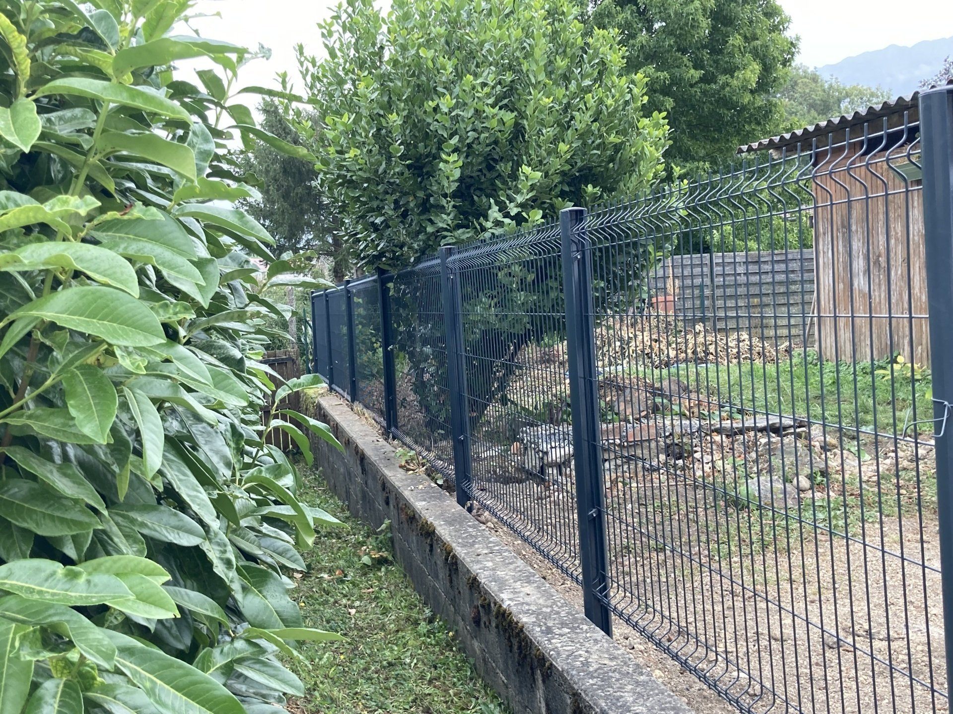 Clôture fixe noire avec des arbres au fond