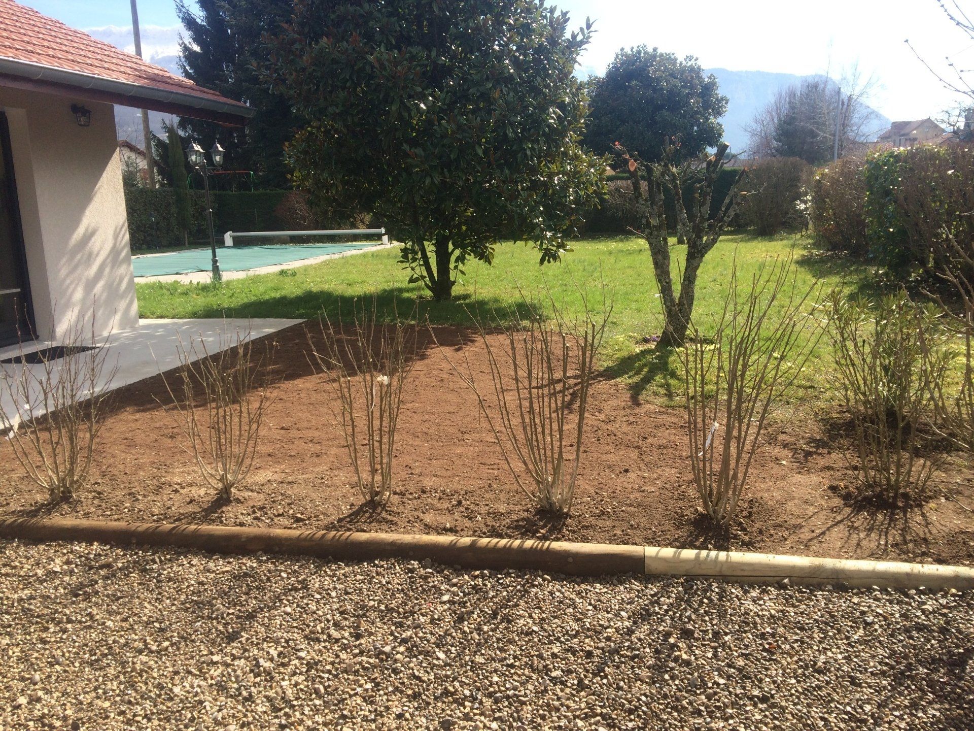 Six arbustes plantés récemment par l'entreprise Isère Paysage