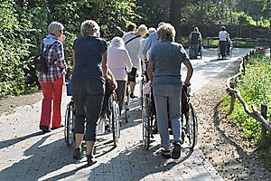 Menschen spazieren und fahren Rad auf einem sonnigen Weg in einem grünen Park