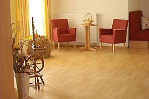 Leerer Café-Sitzbereich mit roten Stühlen, einem kleinen runden Tisch und einer Topfpflanze an einem sonnenbeschienenen Fenster