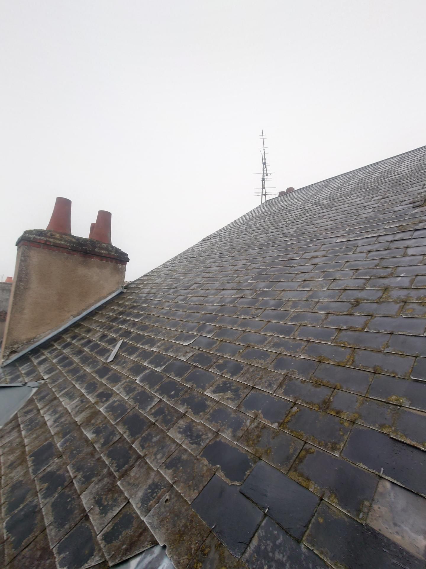 Toit d'ardoise recouvert de mousse.