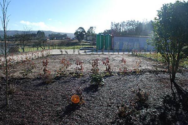 Un jardín con árboles y un edificio al fondo.