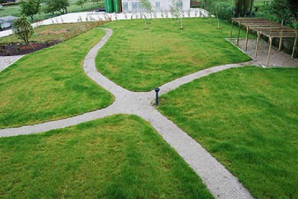 Un césped verde y exuberante con un camino que lo atraviesa.