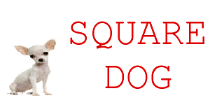 Logo Square dog, Salon de toilettage à Cagnes sur mer 06800