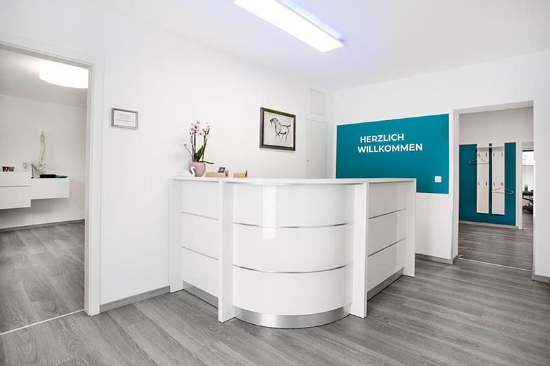 Ein weißer Rezeptionstresen in einem Raum mit blauer Wand