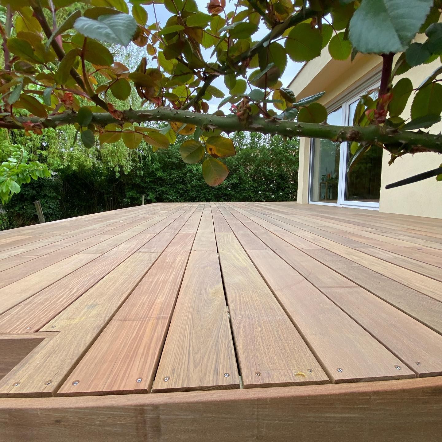 Construction terrasse