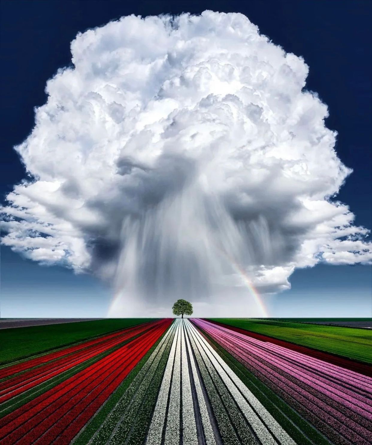 Colories des parquets