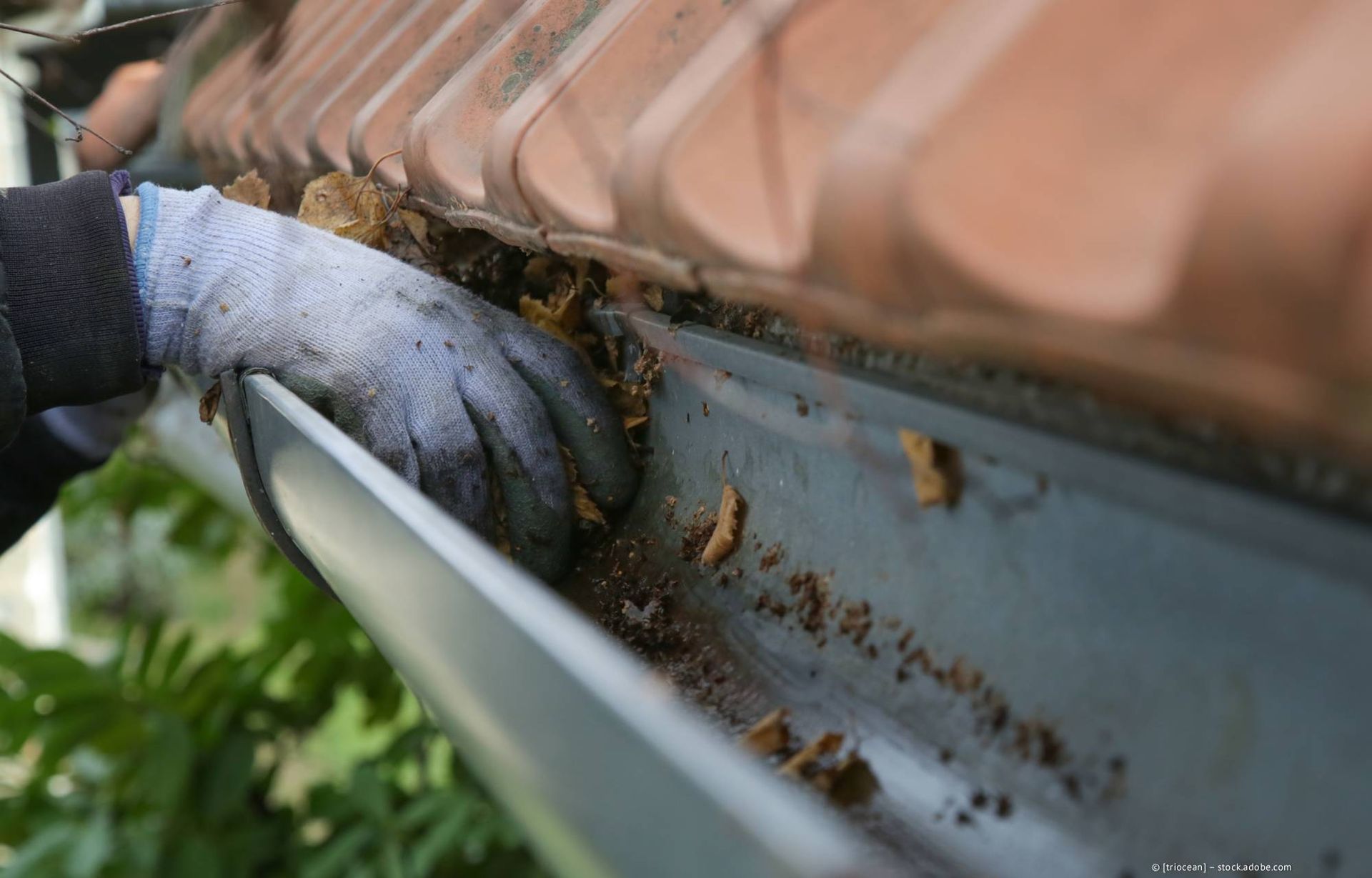 Eine behandschuhte Hand reinigt eine mit Schmutz gefüllte Dachrinne; im Hintergrund ist der Rand eines Dachziegels zu sehen.