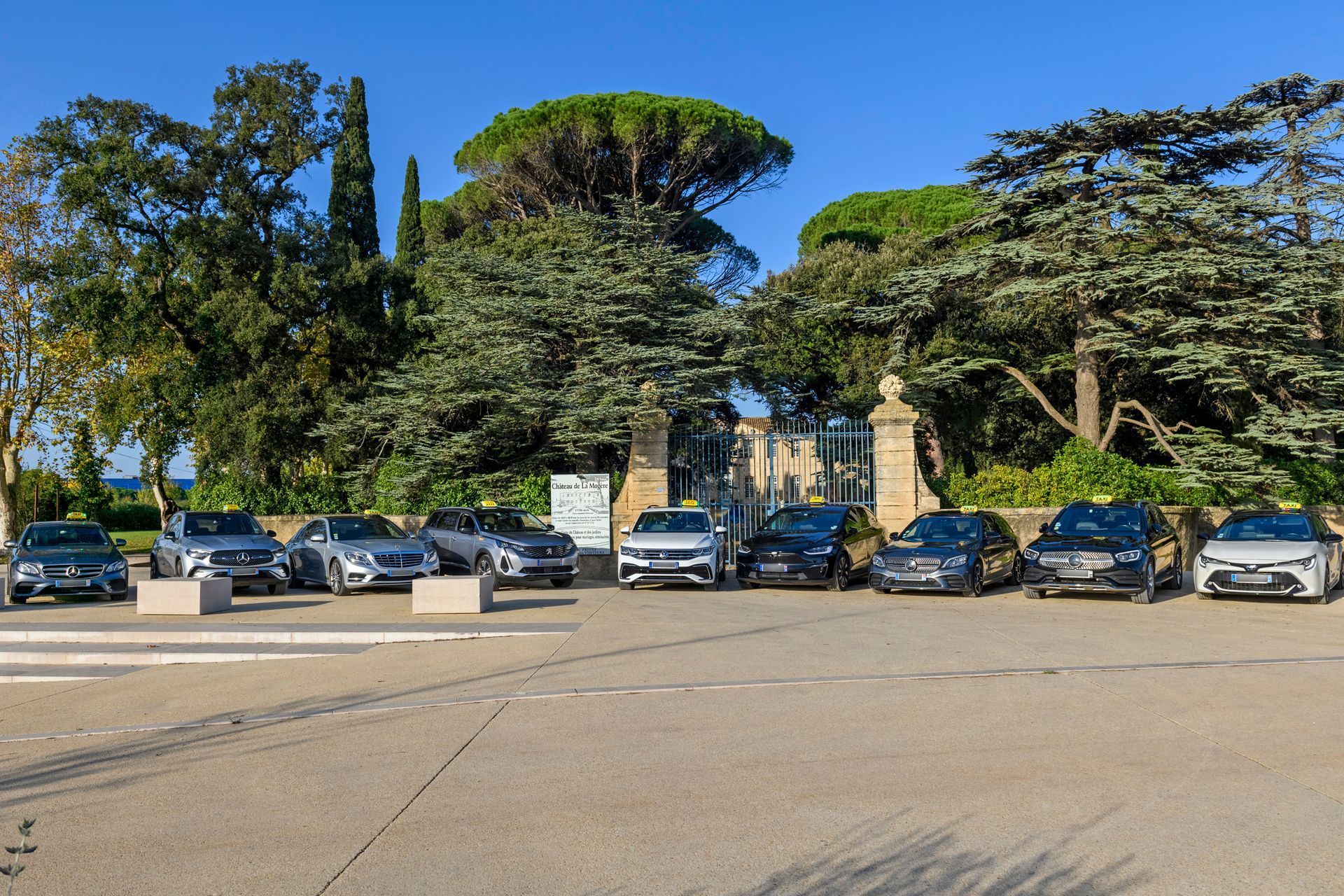 Rangée de voitures garées sous des arbres dans un parc de stationnement