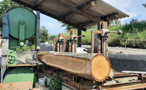 Une grosse bûche sciée sur une scie à ruban ; des machines vertes, du bois et une structure semblable à un hangar.