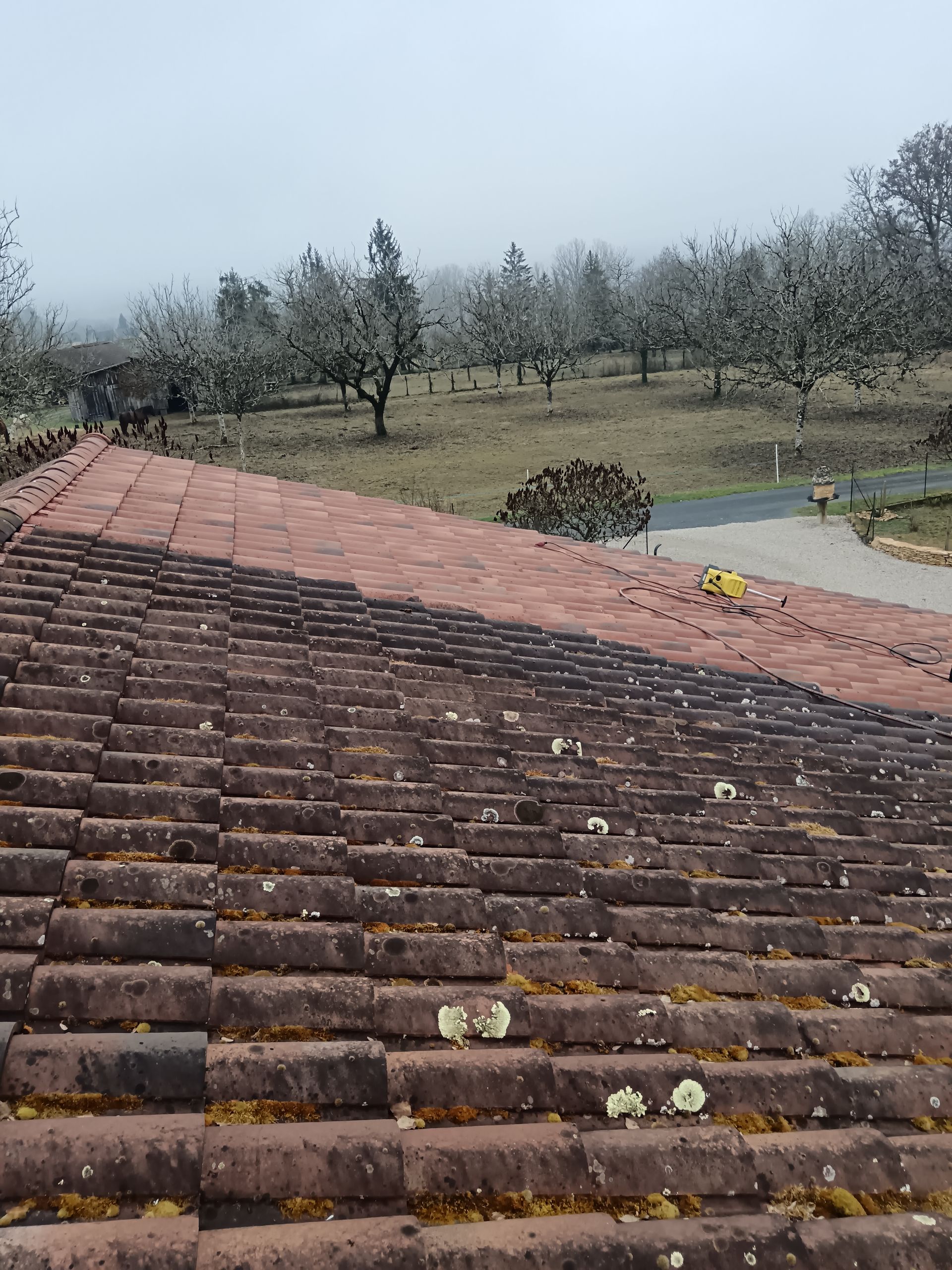 Nettoyage et démoussage de toiture