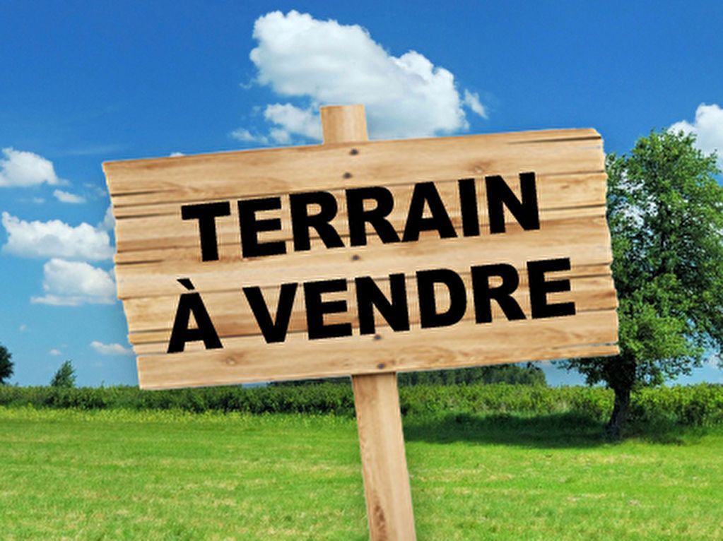 Un panneau en bois dans un champ vert indique TERRAIN À VENDRE sous un ciel bleu.