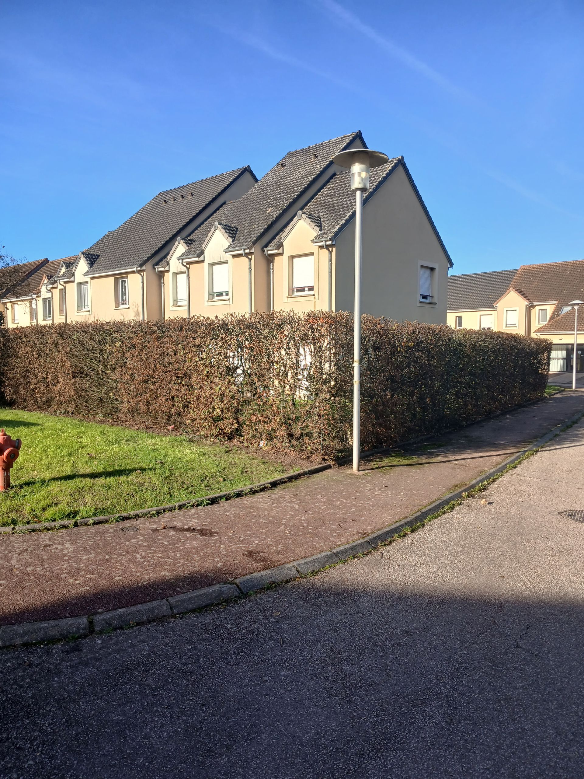 Taille de haie et tonte de pelouse