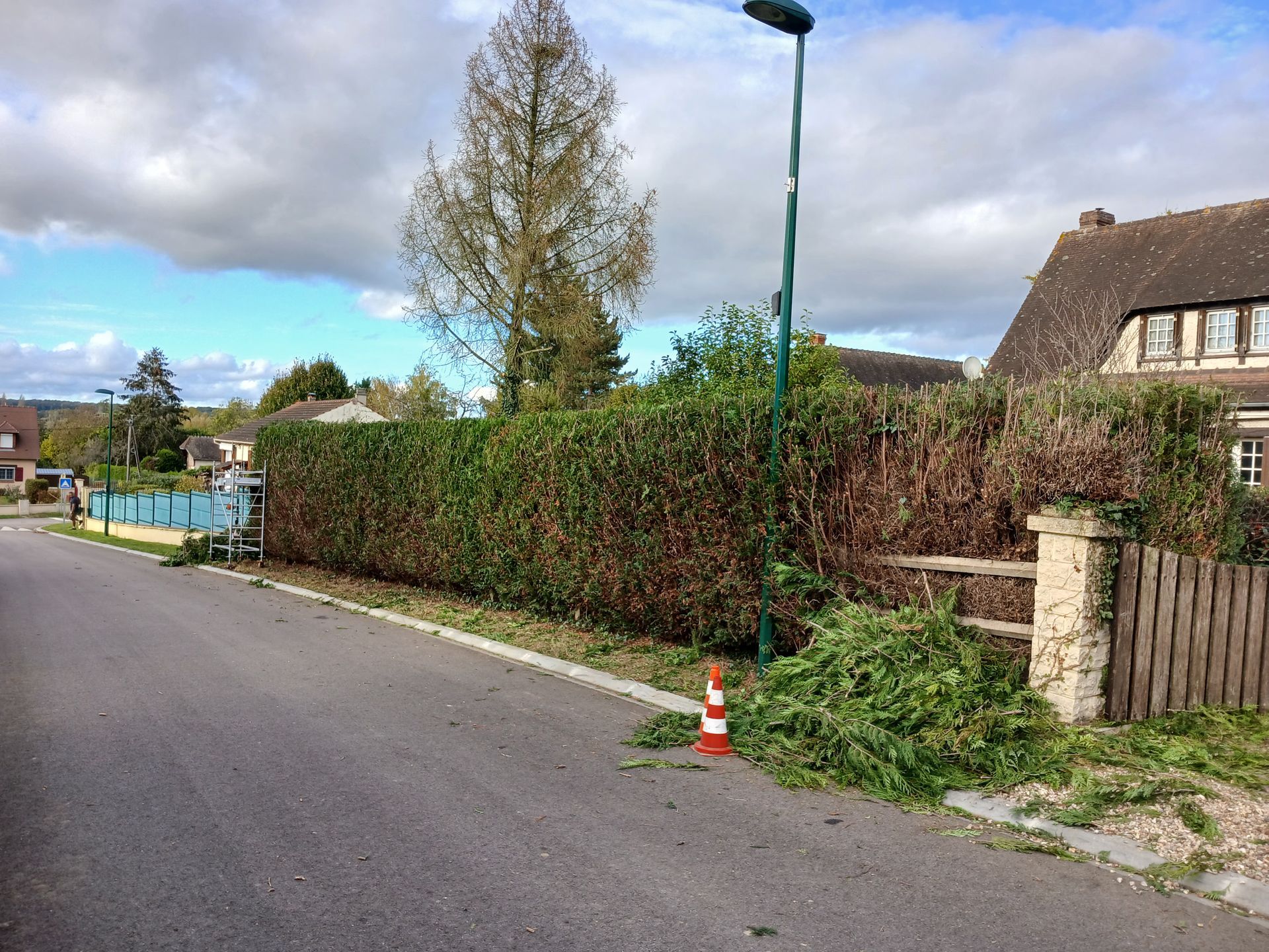 Taille de haie sur le bord de la route