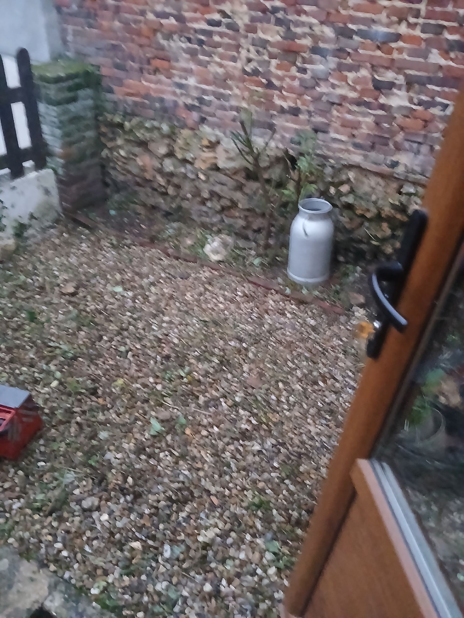 Nettoyage d'une cour