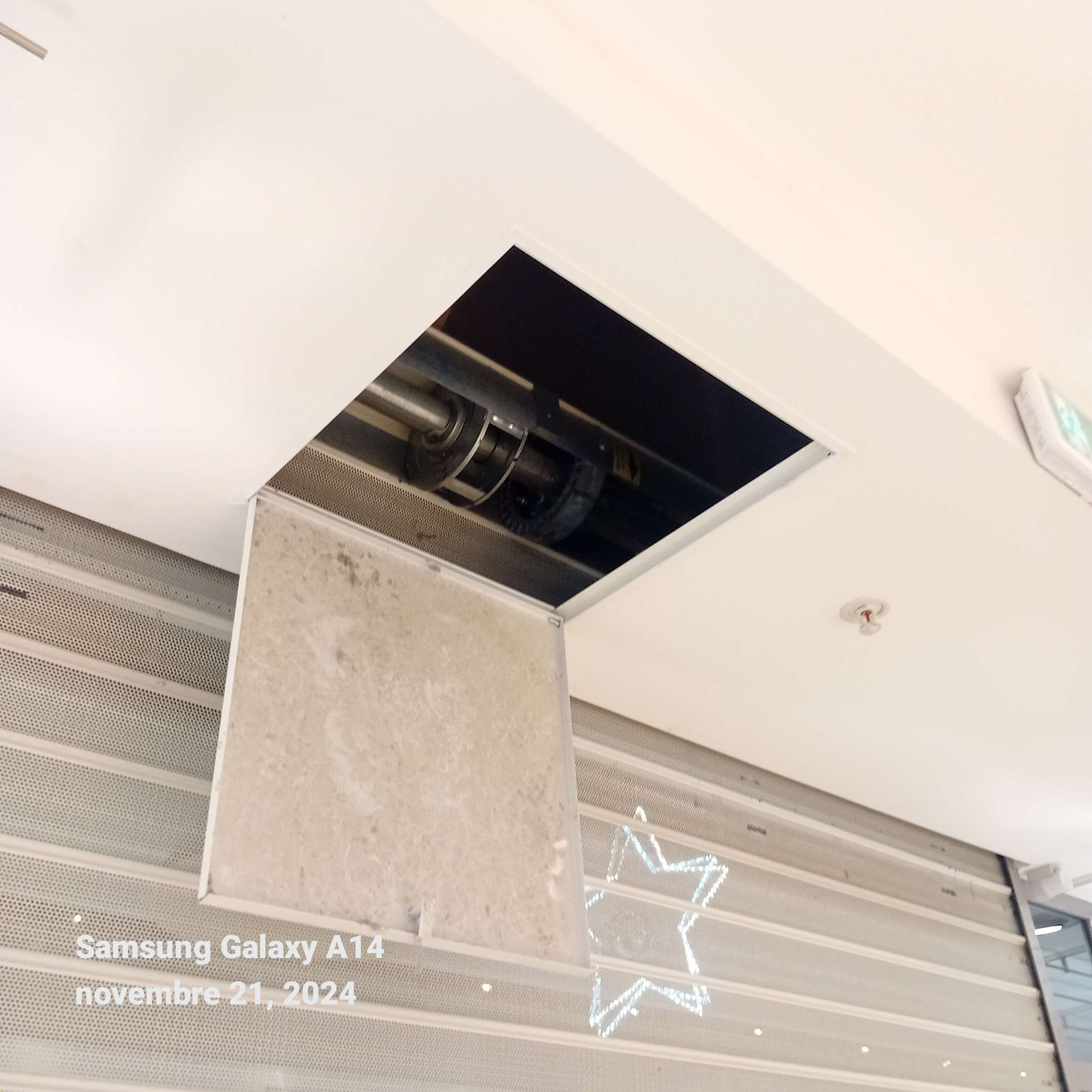 Trappe d'accès pour rideau métallique