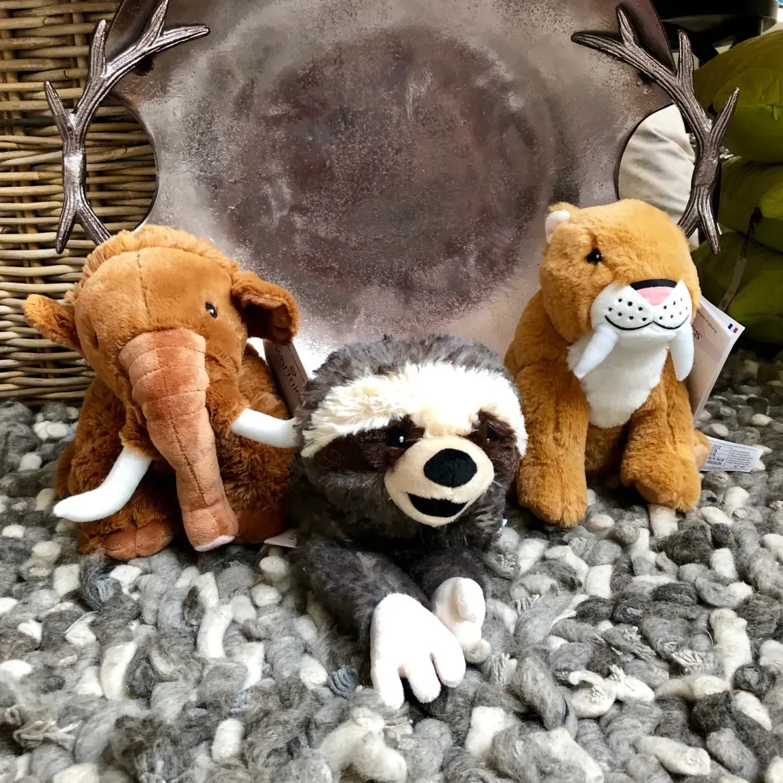 Farbe, Deko und Geschenkideen