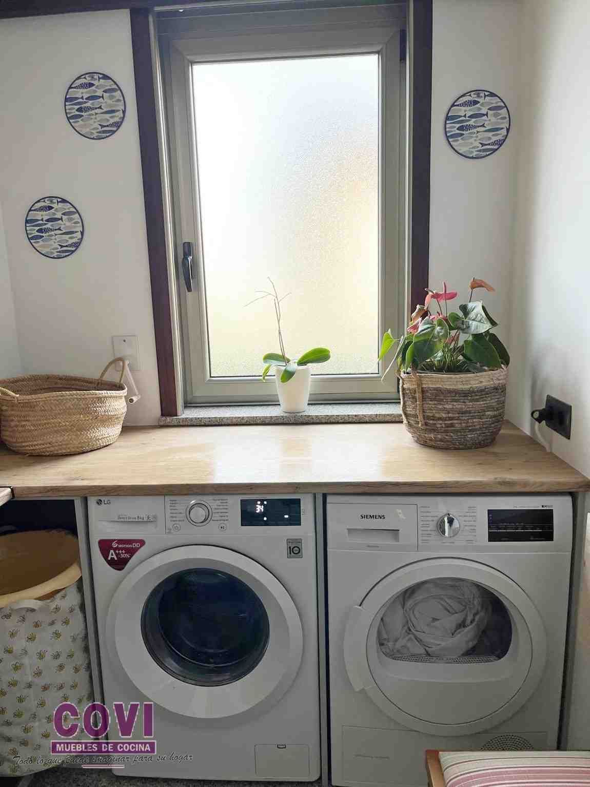 Cuarto de lavado con lavadora, secadora, ventana y encimera con cestas y plantas.