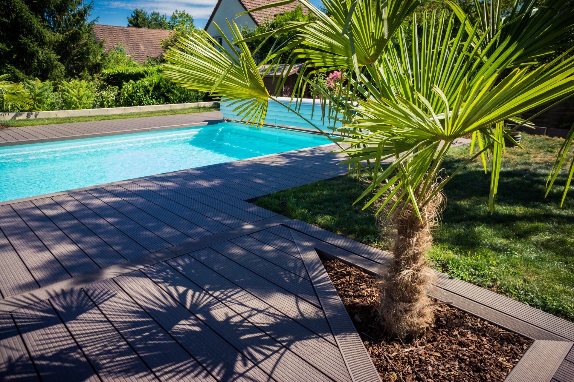 Piscine avec palmier