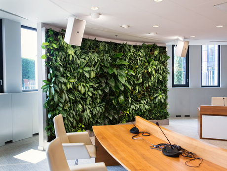 Salle de réunion végétale