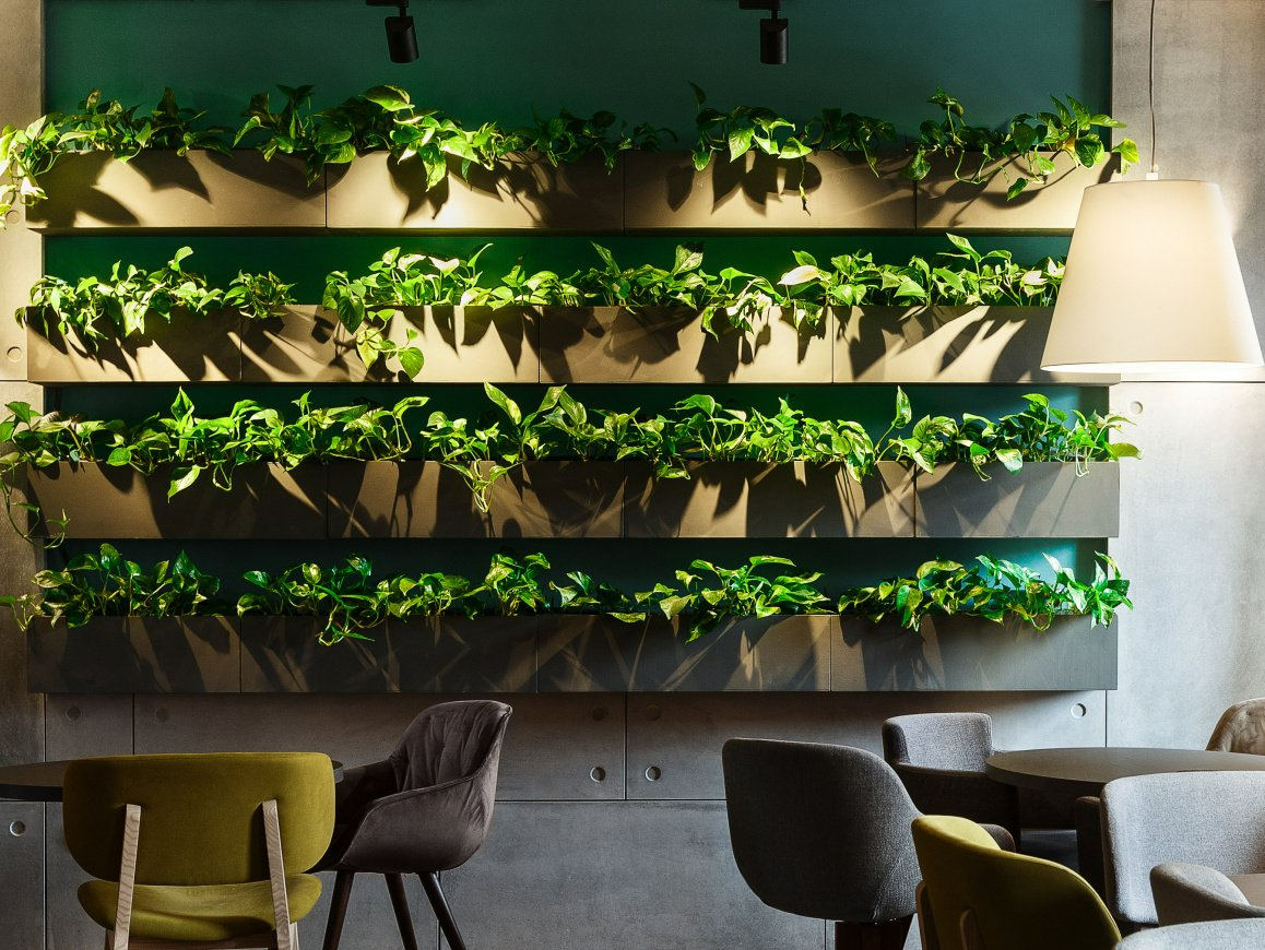 Environnement naturel