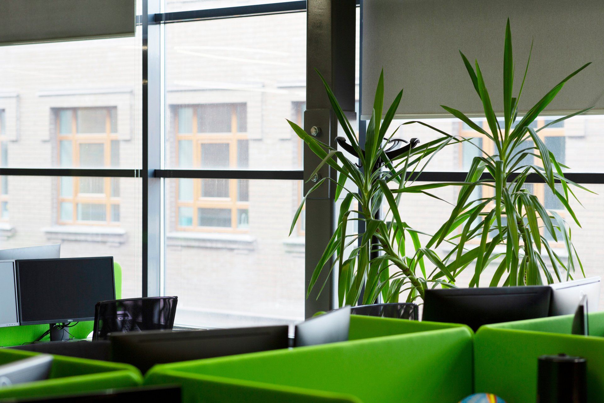 Open space plante