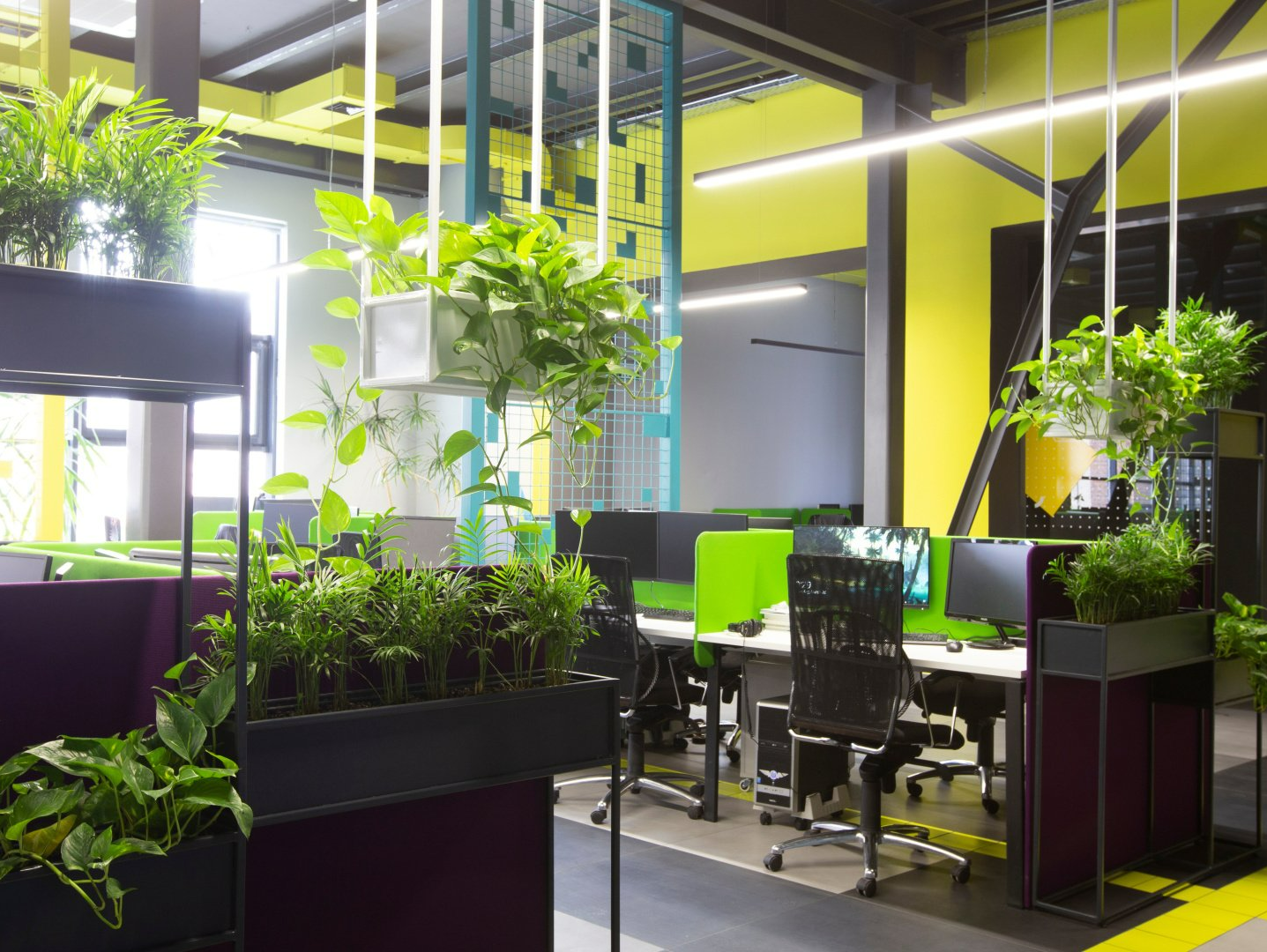 Bureaux avec plantes
