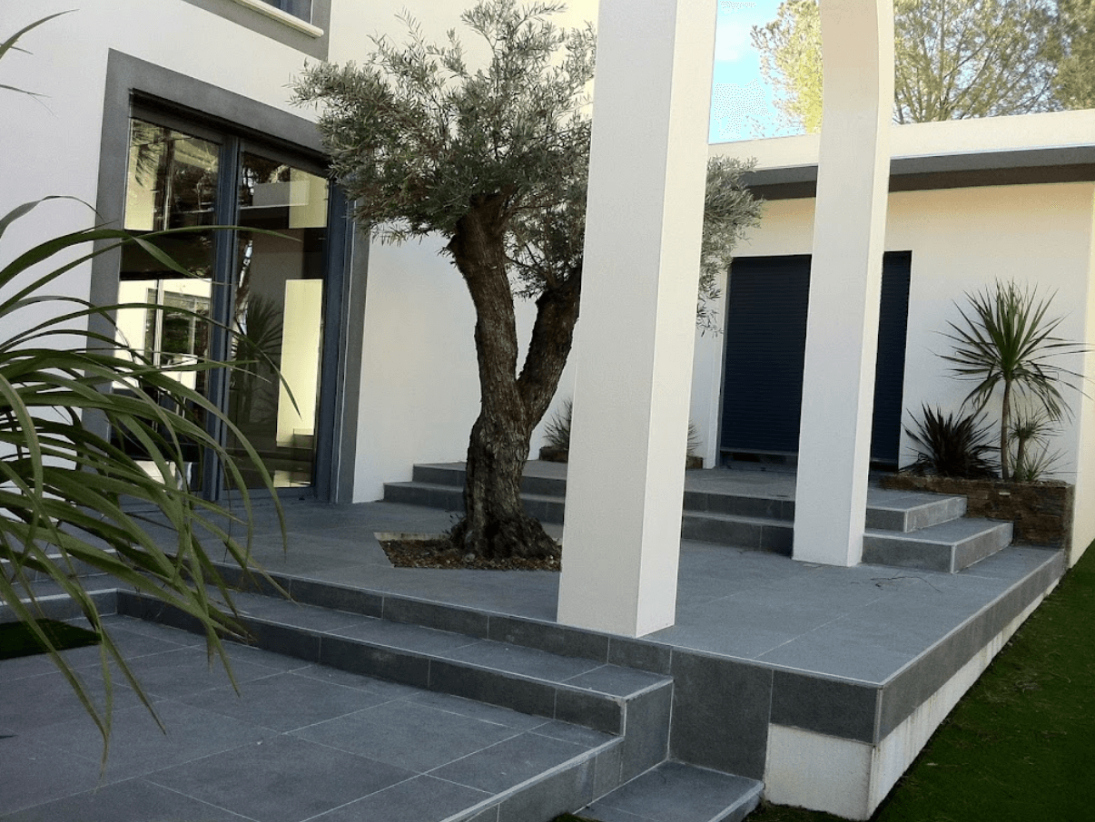 Plantation d'arbres