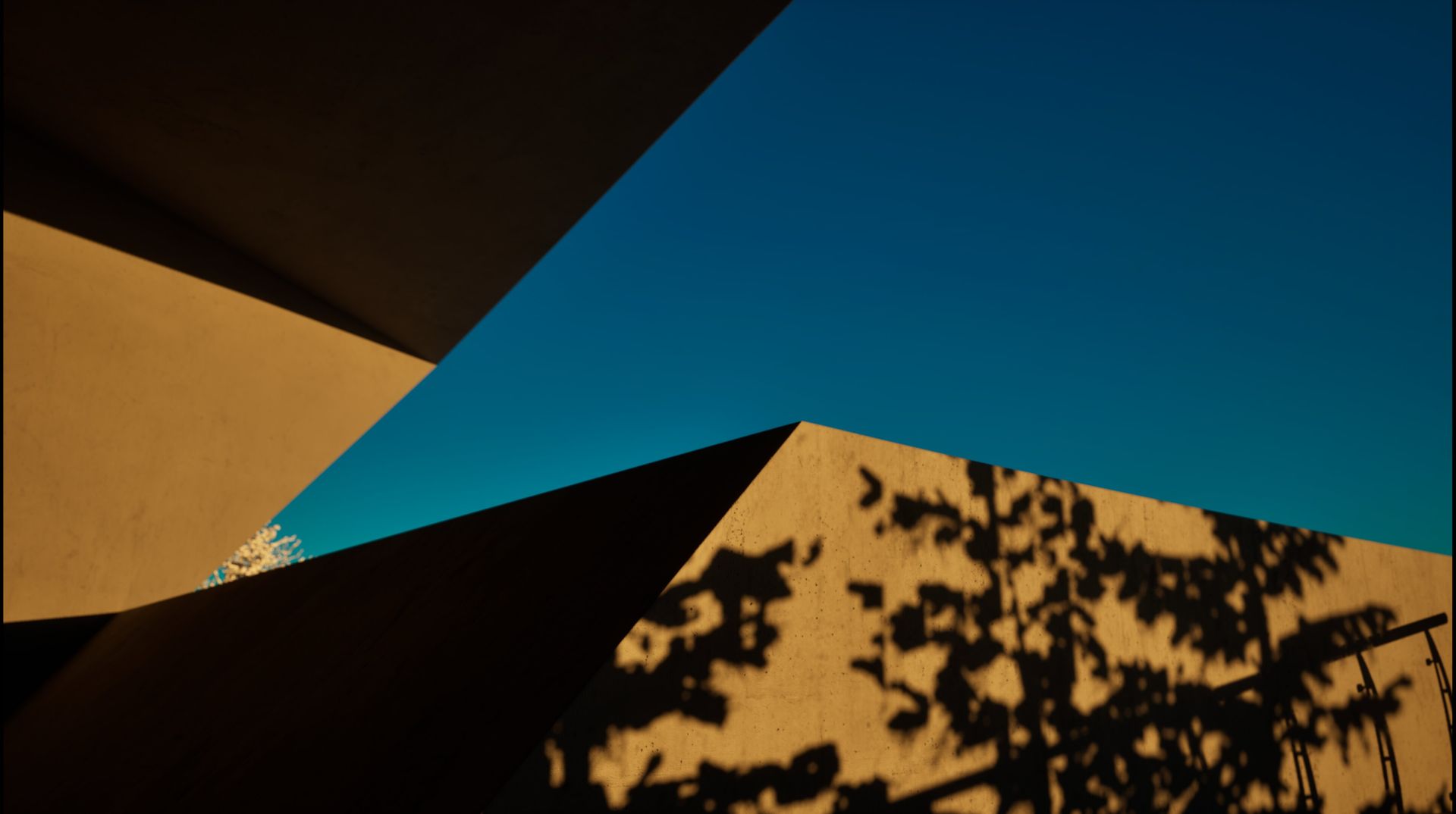 La sombra de un árbol se proyecta sobre un edificio con un cielo azul de fondo.