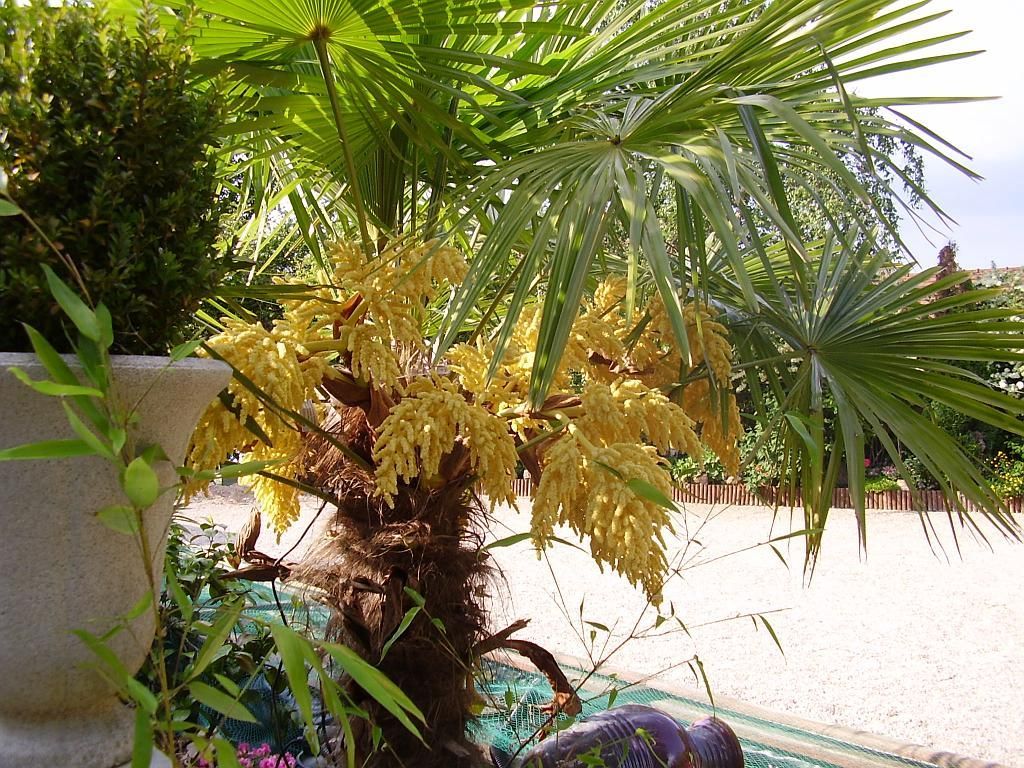 Extérieur d'une salle en location