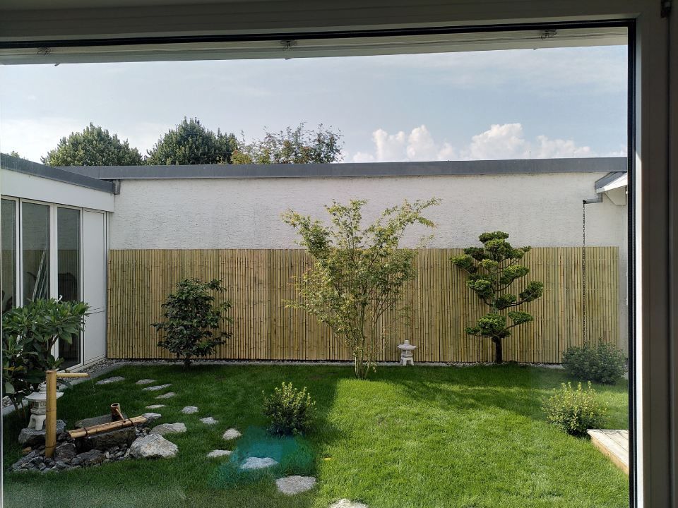 Kleiner Hinterhofgarten mit grünem Rasen, Bambuszaun, jungen Bäumen und einer modernen Hauswand.