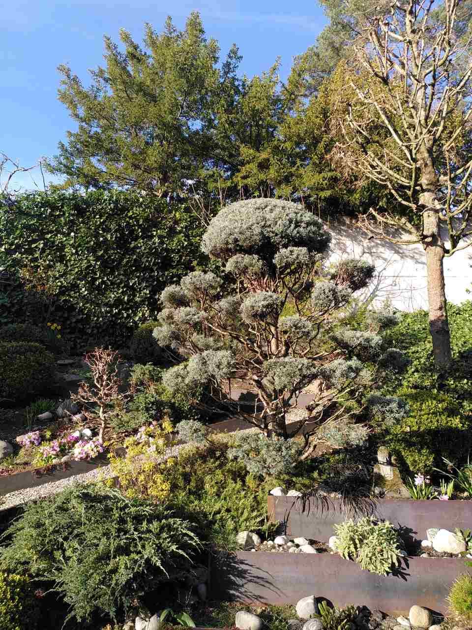 Gepflegter Garten mit geschnittenen Sträuchern, blühenden Pflanzen und Bäumen im hellen Sonnenlicht