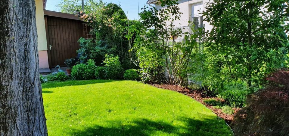 Sonniger Hinterhof mit leuchtend grünem Rasen, Bäumen, Sträuchern und einem Schuppen neben einem Haus