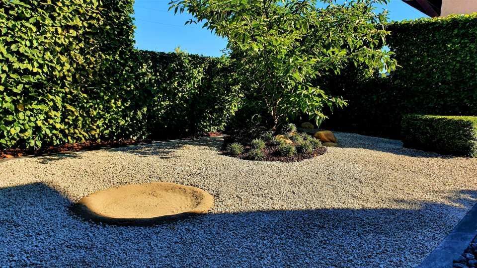 Sonniger Kieshof mit einem zentralen Baum, gestutzten Hecken und einem hellbraunen Trittstein im Vordergrund
