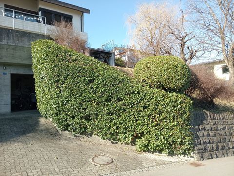 Gartenpflege in Thun
