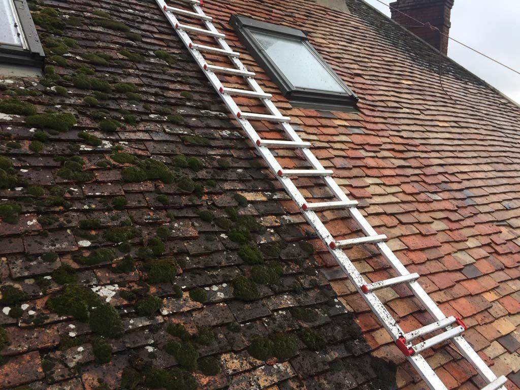 Démoussage et nettoyage de toit