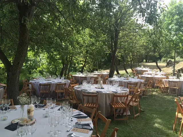 Una fila de mesas y sillas preparadas para una recepción de boda en el bosque.